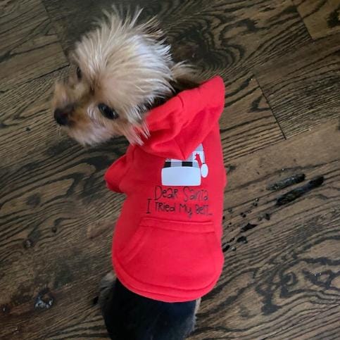 Christmas Dog Sweatshirt Red Cat Shirt for Cold Weather Cute Holiday Pet Shirt Funny Small Dog Sweater for Winter Red Dog Hoodie for Xmas