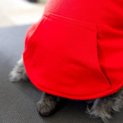 Christmas Dog Sweatshirt Red Cat Shirt for Cold Weather Cute Holiday Pet Shirt Funny Small Dog Sweater for Winter Red Dog Hoodie for Xmas