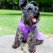 Dog Outfit for Girl Dog Dad Gift for Dog Dad XL Dog Dress for Pet Clothing for Small Dog Tank for Puppy in Purple Dress for Dog Summer