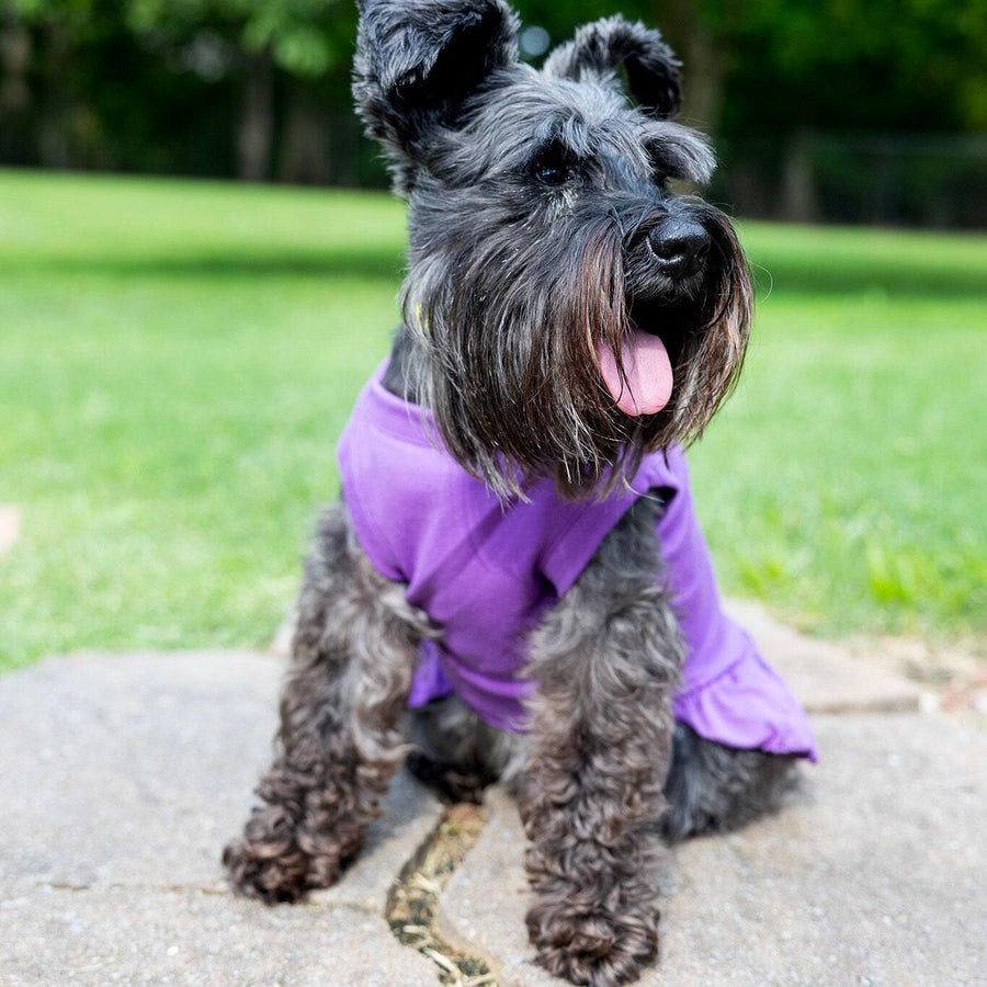 Dog Outfit for Girl Dog Dad Gift for Dog Dad XL Dog Dress for Pet Clothing for Small Dog Tank for Puppy in Purple Dress for Dog Summer
