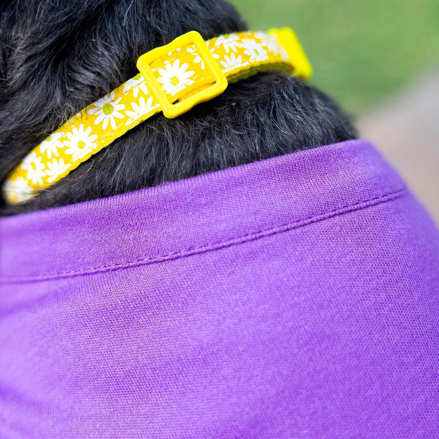 Dog Outfit for Girl Dog Dad Gift for Dog Dad XL Dog Dress for Pet Clothing for Small Dog Tank for Puppy in Purple Dress for Dog Summer