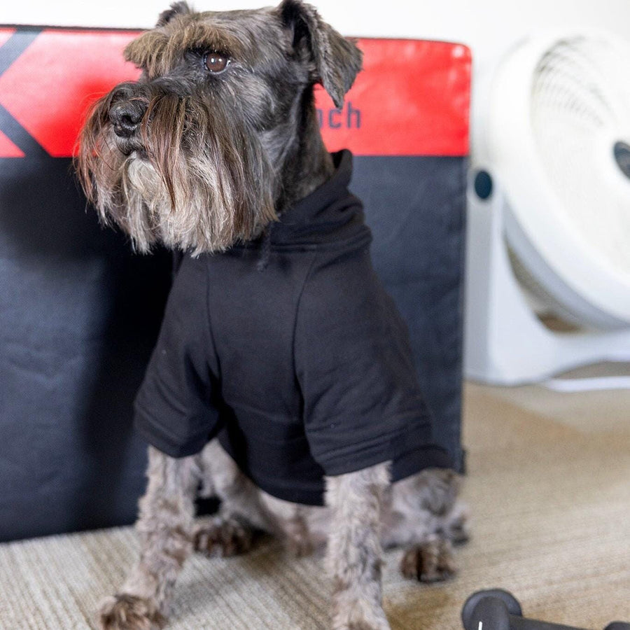 Baby Security Dog Hoodie in Black Bab- for New Baby Arrival