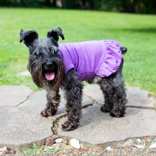 Dog Outfit for Girl Dog Dad Gift for Dog Dad XL Dog Dress for Pet Clothing for Small Dog Tank for Puppy in Purple Dress for Dog Summer