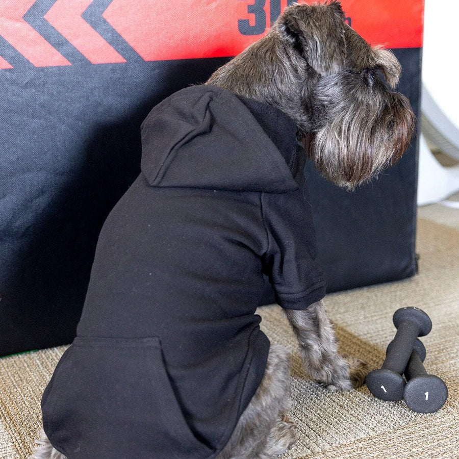 Baby Security Dog Hoodie in Black Bab- for New Baby Arrival
