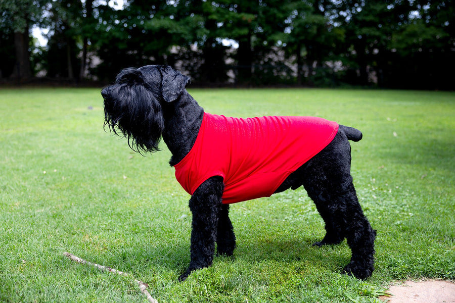 Fourth of July Red Dog T Shirt