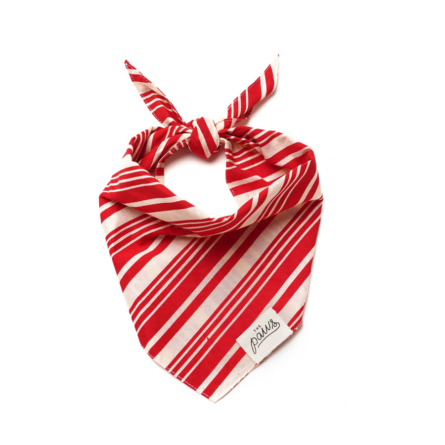 Striped Dog Bandana for Valentines Day
