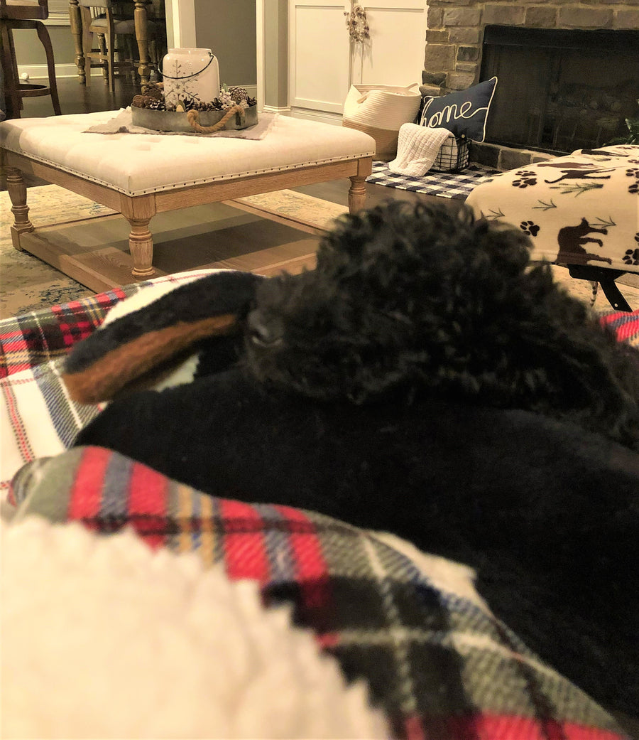 Black and White Hound Cuddle Buddy With Heartbeat for Separation Anxiety