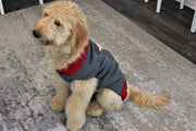 Front view of Winter dog sweater with reindeer, design on back.