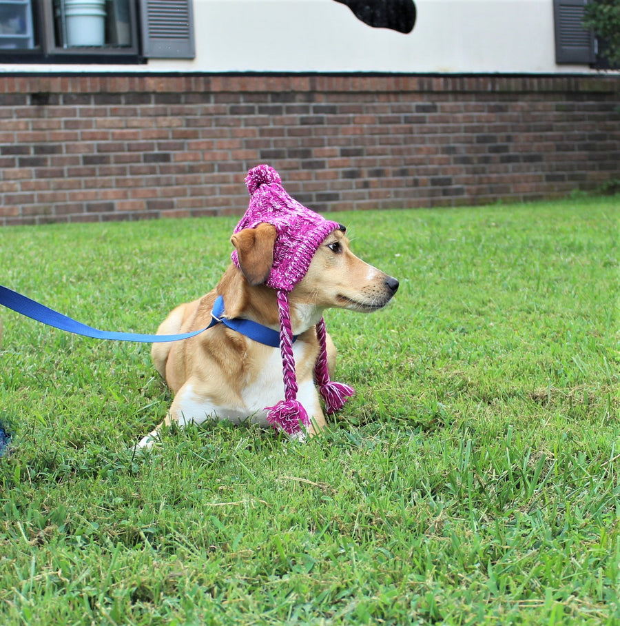 dog hat for cold weather with long braids on each side, ear holes and pom pom on top, side view.
