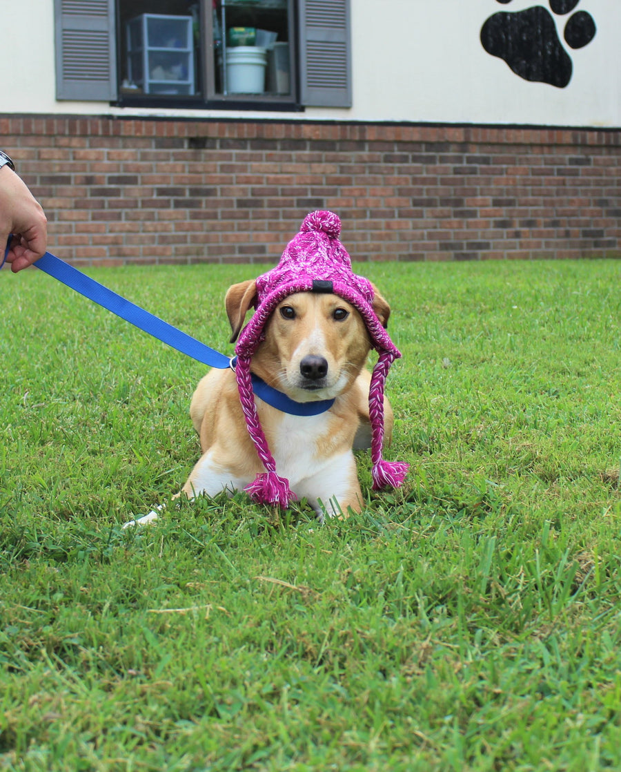 cute dog hat in pink, front view.