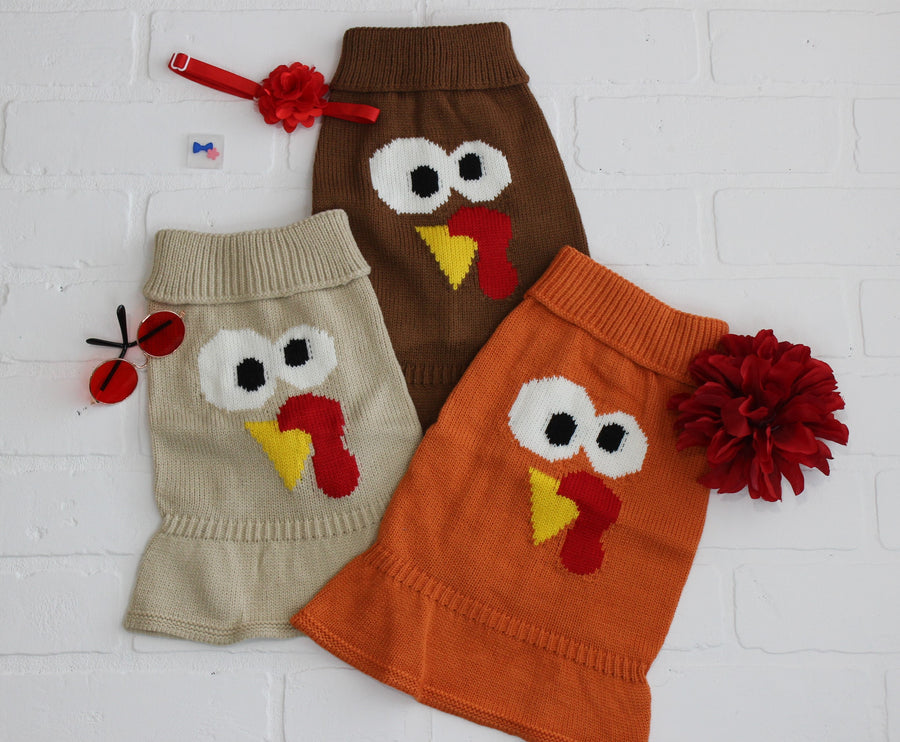 dog shirt for fall in brown, orange, tan, flat lay, turkey dog sweater with dog accessories