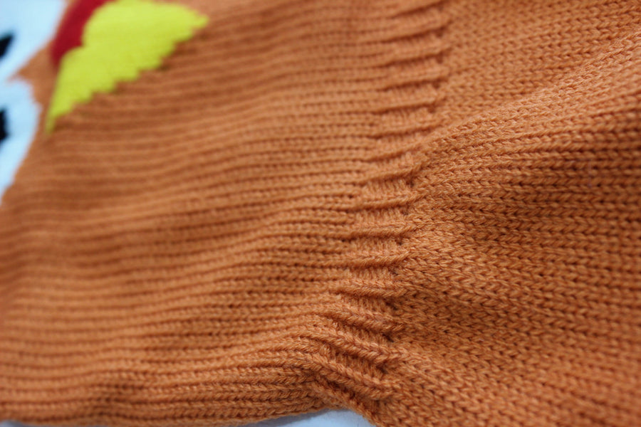 close up of sweater for dog, close woven material