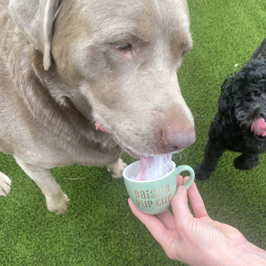 Personalized Pup Cup - Custom Dog Mom Gift for Pet Lovers
