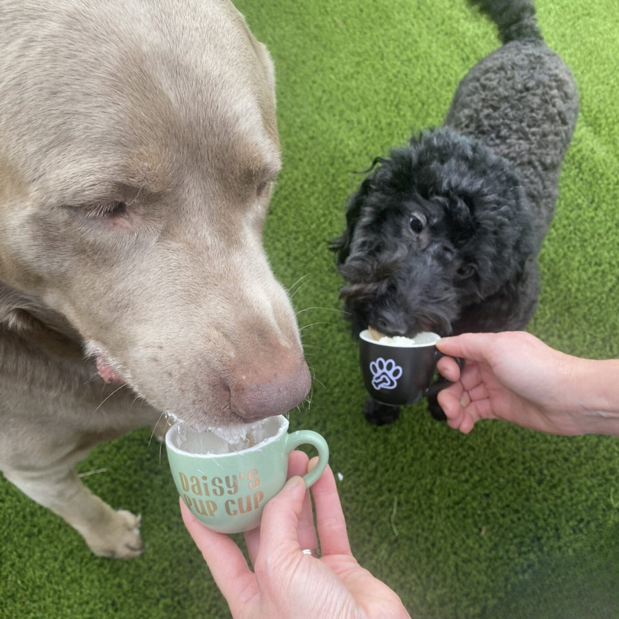 Personalized Pup Cup - Custom Dog Mom Gift for Pet Lovers
