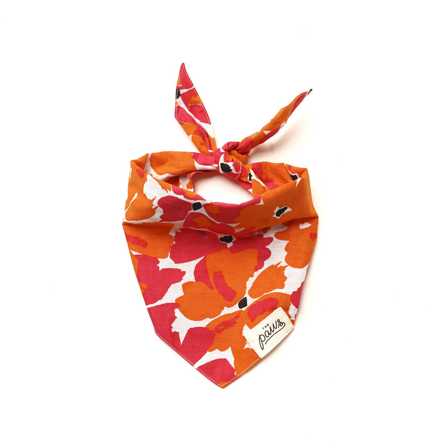 Hawaiian Dog Bandana for Summer - FINAL SALE