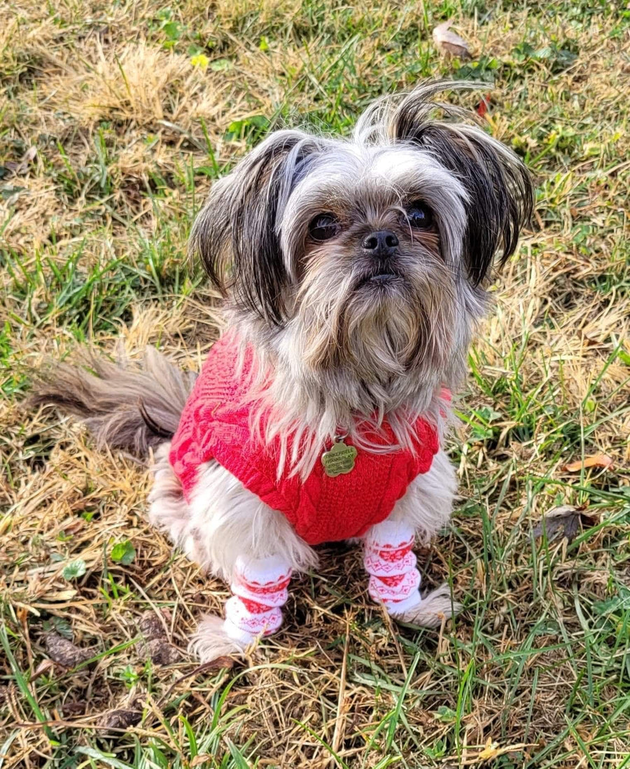 Dog Sock for Pet Zebra Print, Dog Leg Warmer for Cold Weather Sock for Pet Sock Custom Dog Sock to keep warm, Dog Slipper Striped