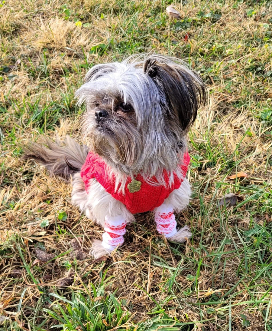 Dog Sock for Pet Zebra Print, Dog Leg Warmer for Cold Weather Sock for Pet Sock Custom Dog Sock to keep warm, Dog Slipper Striped